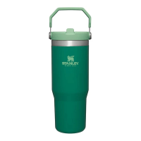 Stanley IceFlow 30 oz Flip Straw Tumbler