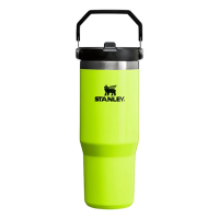 Stanley IceFlow 30 oz Flip Straw Tumbler