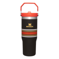 Stanley Varsity IceFlow 30 oz Flip Straw Tumbler