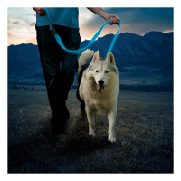 Nite Ize NiteDog Rechargeable dog leash