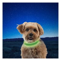 Nite Ize NiteDog LED Collar