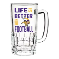 Evergreen Enterprise Minnesota Vikings 16oz Tankard Glass