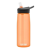 CamelBak Eddy+ 25oz Water Bottle