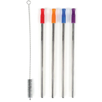 EcoVessel SS Straws & Brush