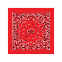 Adult Carolina Manufacturing Paisley Bandana Bandana Scarf Red Paisley