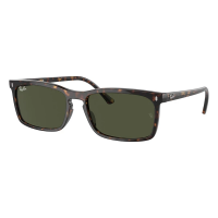 Men's Ray-Ban RB4435 Sunglasses Havana/Green