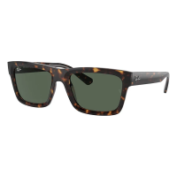 Men's Ray-Ban Warren Sunglasses Havana/Dark Green