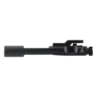 Rise Armament 223 Rem Bolt Carrier Group