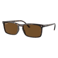 Men's Ray-Ban RB4435 Polarized Sunglasses Havana/Polar Brown