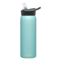 CamelBak Eddy+ 25oz Stainless Steel Bottle