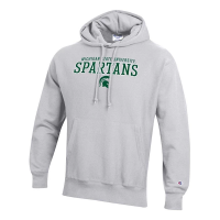 Michigan State Spartans Champion Hoodie XLarge Grey