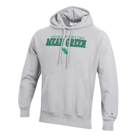 North Texas Mean Green Champion Hoodie Medium Grey