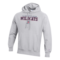 Arizona Wildcats Champion Hoodie XLarge Grey