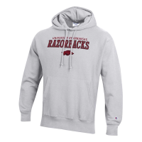 Arkansas Razorbacks Champion Hoodie Large Grey