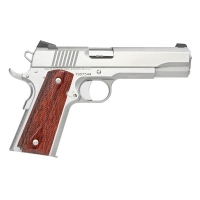 Dan Wesson Razorback 10mm Full Size Pistol