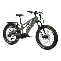 Bakcou Storm 25ah Electric Offroad Bike