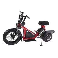 Finn Cycle Electric Golf Scooter