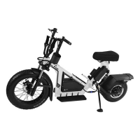 Finn Cycle Electric Golf Scooter