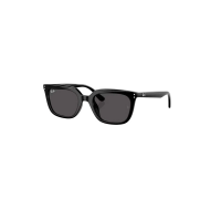 Men's Ray-Ban Ray-Ban RB4439D Sunglasses Sunglasses Polished Black/Dark Grey