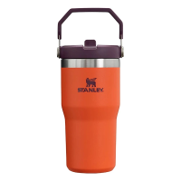 Stanley IceFlow 20 oz Flip Straw Tumbler