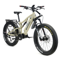 BAKCOU Storm Electric Offroad Bike