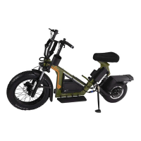 Finn Cycle Electric Golf Scooter