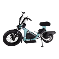 Finn Cycle Electric Golf Scooter