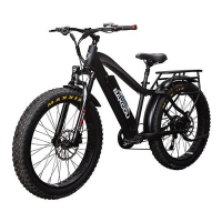 BAKCOU Flatlander Electric Bike