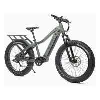 Quietkat Ranger VPO E-Bike