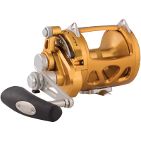 PENN International VISW Saltwater Reel