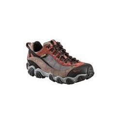 Men's Firebrand II Low Waterproof Shoes