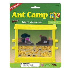 Kids' Ant Camp