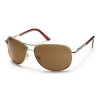 Aviator Sunglasses