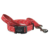 Dog Leash