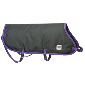Weaver Leather Pro Calf Blanket in Black | Size Regular
