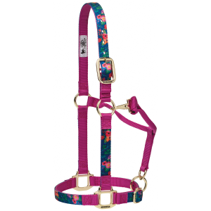 Weaver Weaver Leather 1" Adjustable Halter in Raspberry Floral - $29.99 at Murdoch's Ranch & Home Supply