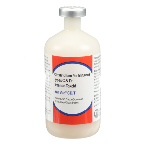 Boehringer Ingelheim Bar Vac CD/T | Size 50 Dose
