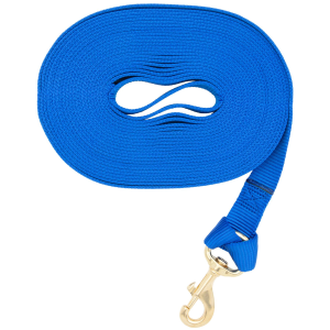 Weaver Weaver Flat Nylon Horse Lunge Line with Snap in Blue | Size 1" x 30' - $39.99 at Murdoch's Ranch & Home Supply