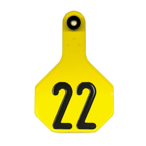 Y-Tex All American Medium 3-Star #1-25 ID Tags in Yellow
