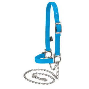 Weaver Weaver Nylon Adjustable Sheep Halter with Chain Lead in Hurricane Blue - $29.99 at Murdoch's Ranch & Home Supply