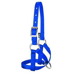 Weaver Weaver Alpaca Halter in Blue | Size Large - $12.77 at Murdoch's Ranch & Home Supply
