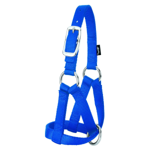 Weaver Weaver Nylon Goat Halter in Hurricane Blue | Size Small - $19.99 at Murdoch's Ranch & Home Supply