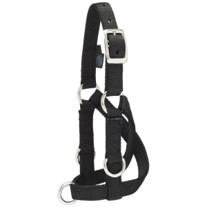 Weaver Weaver Sheep and Goat Training Halter | Size Medium - $19.99 at Murdoch's Ranch & Home Supply