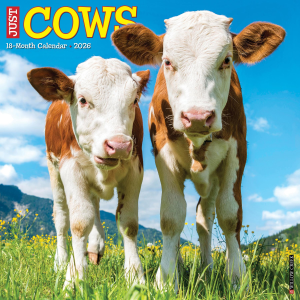 Willow Creek 2026 Cows Calendar | Size 12" x 12"
