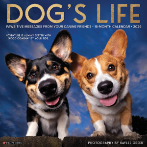 Willow Creek 2026 Dog's Life Calendar | Size 12" x 12"