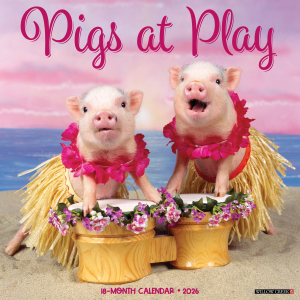 Willow Creek 2026 Pigs at Play Calendar | Size 12" x 12"