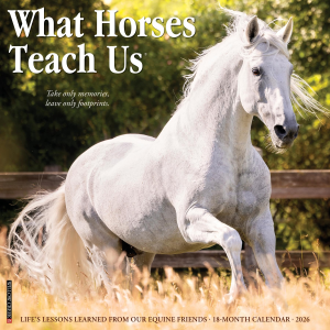 Willow Creek 2026 What Horses Teach Us Calendar | Size 12" x 12"