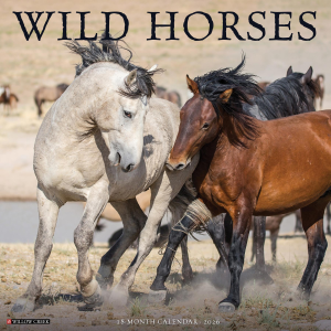 Willow Creek 2026 Wild Horses Calendar | Size 12" x 12"