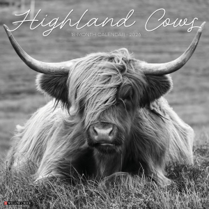 Willow Creek 2026 Highland Cows Black and White Calendar | Size 12" x 12"