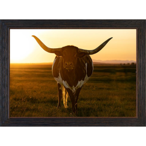 Rocky Mountain Publishing Rocky Mountain Publishing Longhorn Sunset Framed Canvas Wall Art | Size 16" x 23" - $119.99 at Murdoch's Ranch & Home Supply